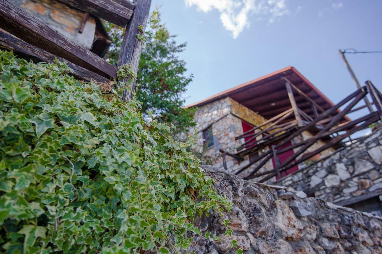Holiday home Stonehouse 2 Bedroom On Olympus Amazing View Petra (Pieria)