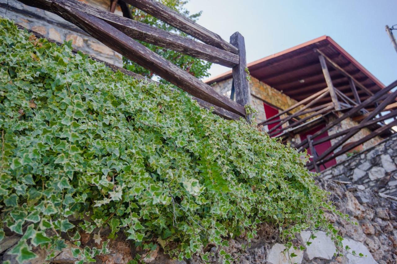 Stonehouse 2 Bedroom On Olympus Amazing View Holiday home Petra (Pieria)